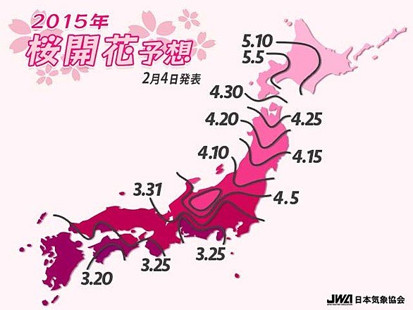 chart_large