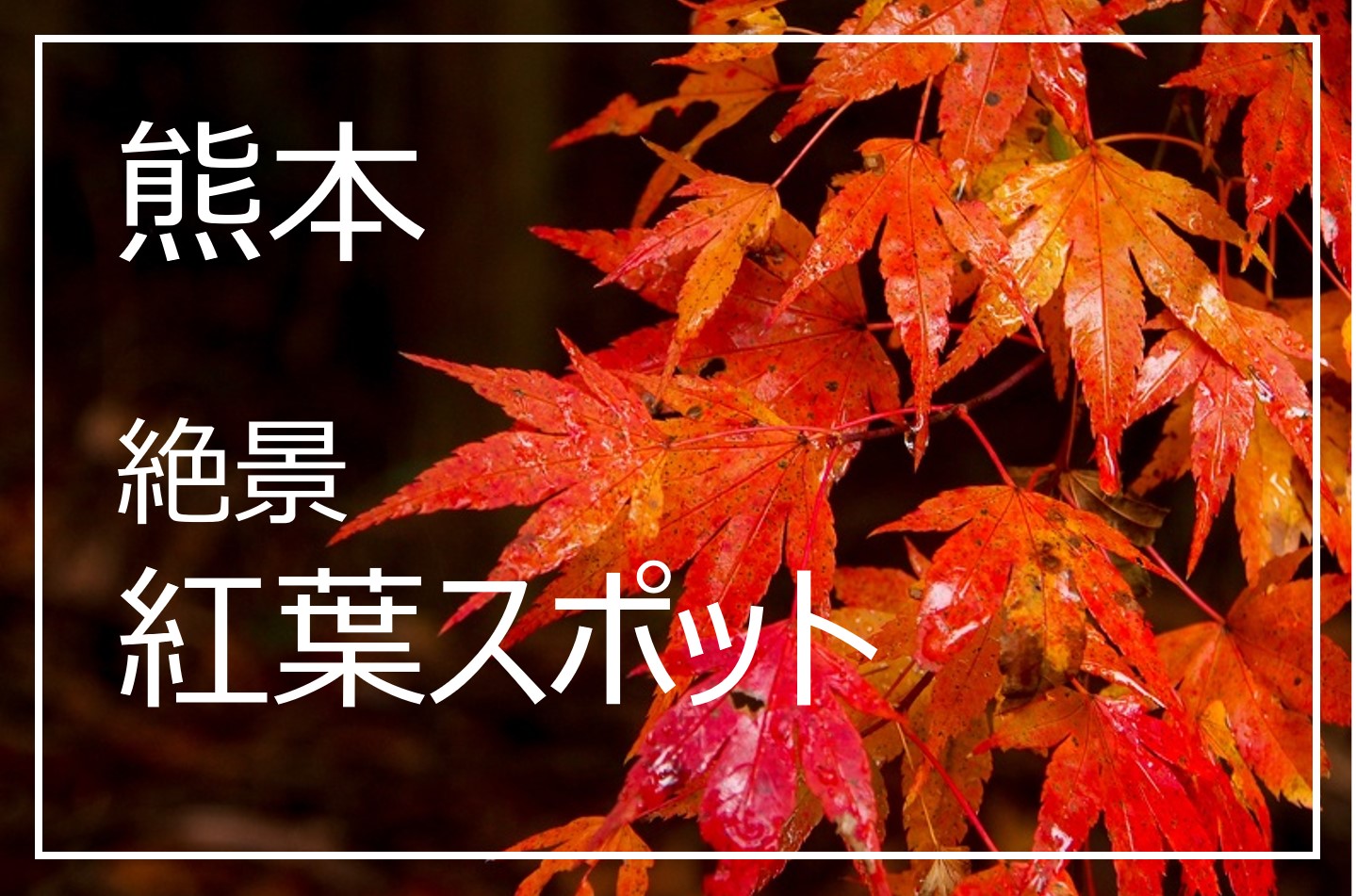 熊本の絶景紅葉スポット10選～2024年版~