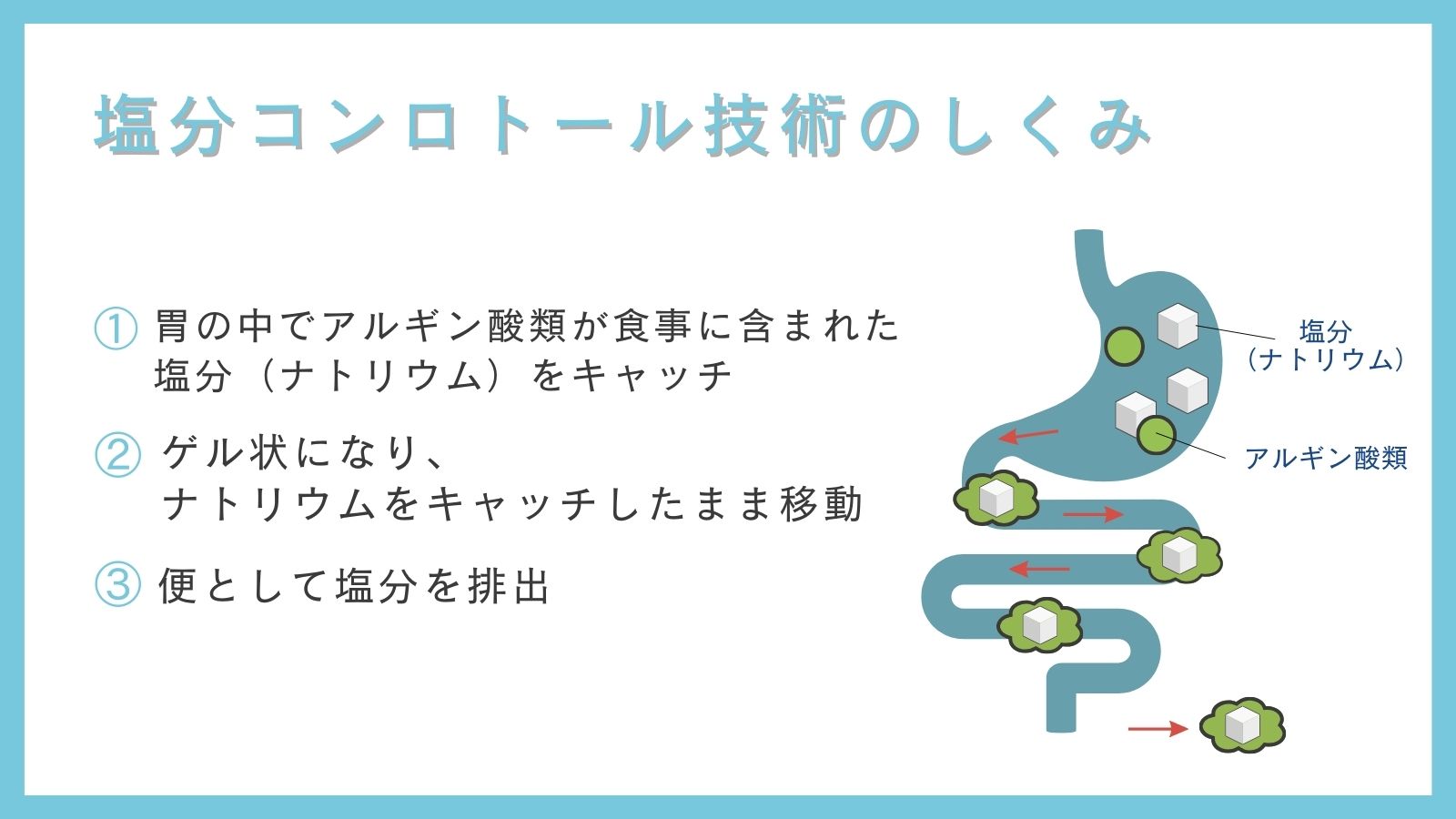 医療用品製造販売のトイメディカル 国内初！体内に吸収されない塩「零」販売開始 | COCO COLOR KUMAMOTO（ココクマ） |  熊本で働こう！暮らそう！