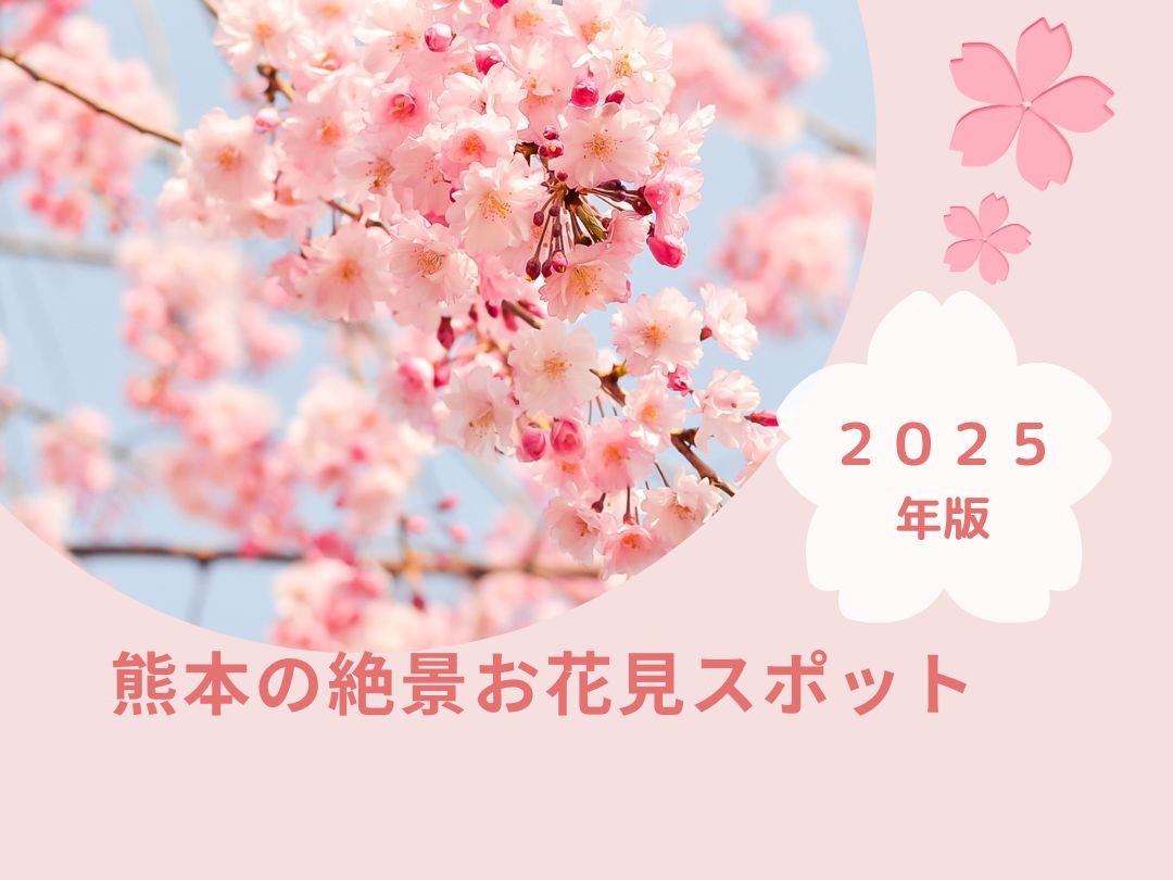 熊本の絶景お花見スポット～桜の名所をご紹介～